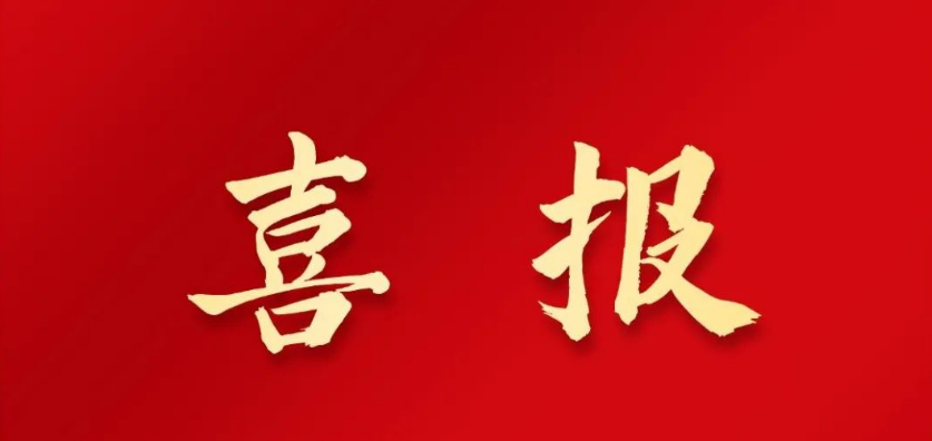 喜報(bào) | 山東省建材工業(yè)協(xié)會(huì)榮獲“2023年度山東省工業(yè)和信息化領(lǐng)域優(yōu)秀調(diào)研報(bào)告與研究成果”二等獎(jiǎng)